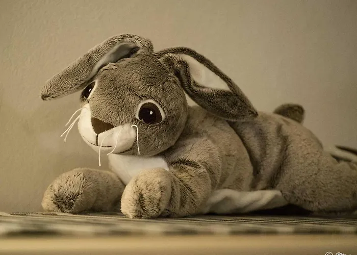 Mainetta Sea View With Ac